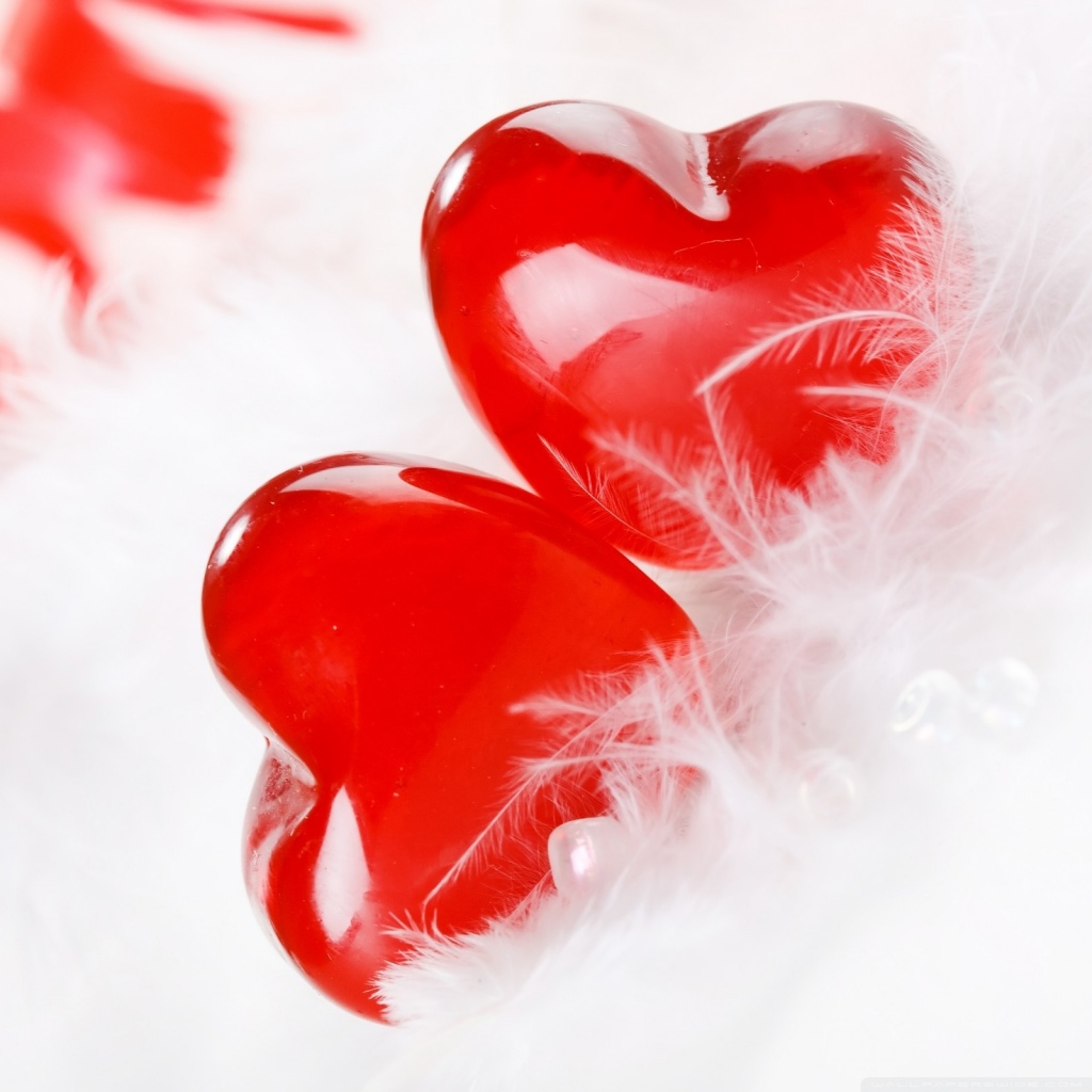 two_hearts_together_2-wallpaper-1024x1024